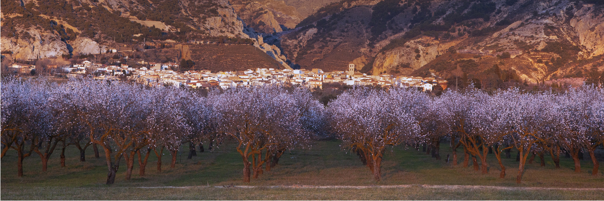 Miguel Angel Poyatos - comarcal-panorama-01.jpg